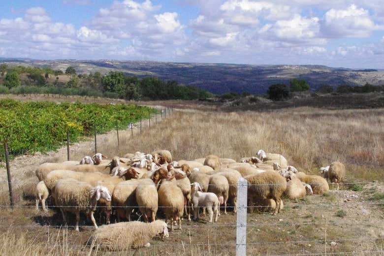 Zona rural de los Arribes del Duero