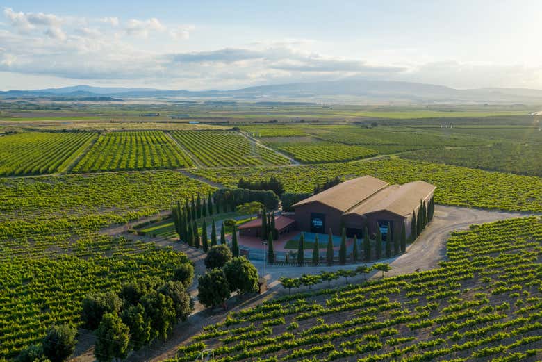 Heraclio Alfaro Winery