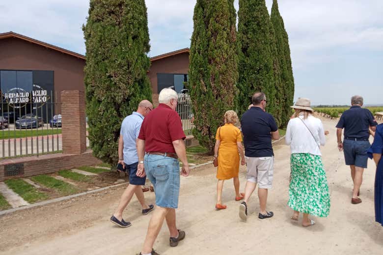 Visite guidée de Vinos Heraclio Alfaro