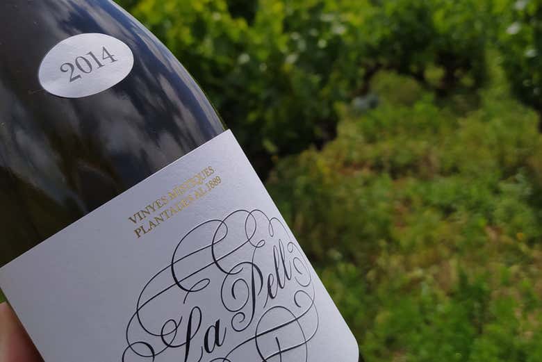 Gros plan sur une étiquette de bouteille de vin