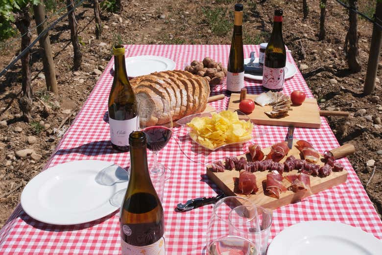 Pique-nique dans les vignes