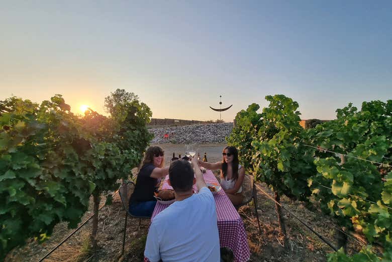 Trois amis trinquent lors du pique-nique dans les vignes