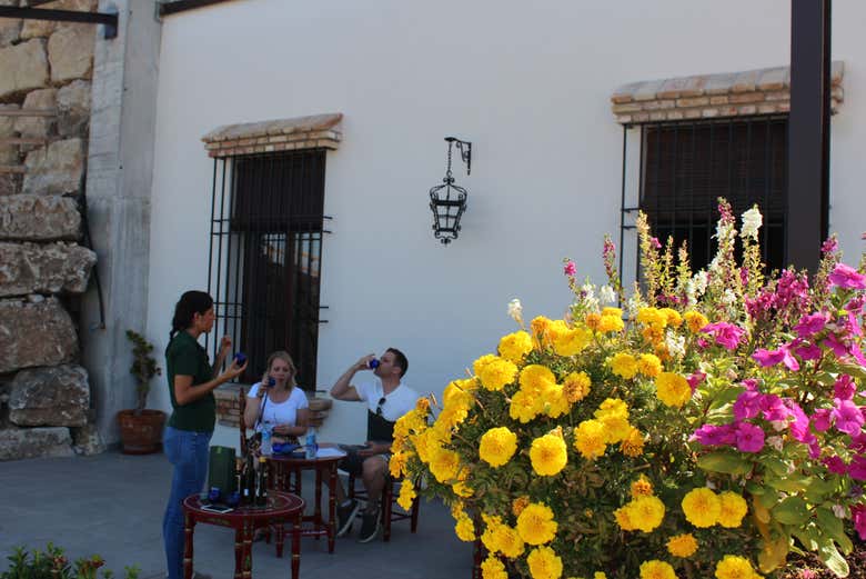 Probaremos diferentes aceites