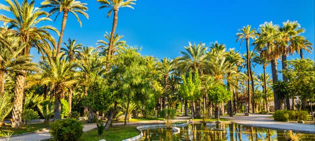 Excursión a Elche y Parque Natural El Hondo