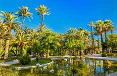 Excursión a Elche y Parque Natural El Hondo