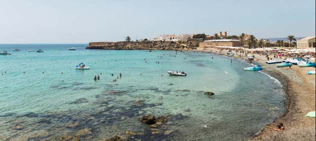 Excursión a la isla de Tabarca y palmeral de Elche