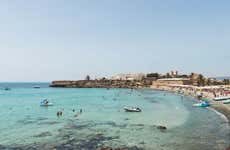 Excursión a la isla de Tabarca y palmeral de Elche