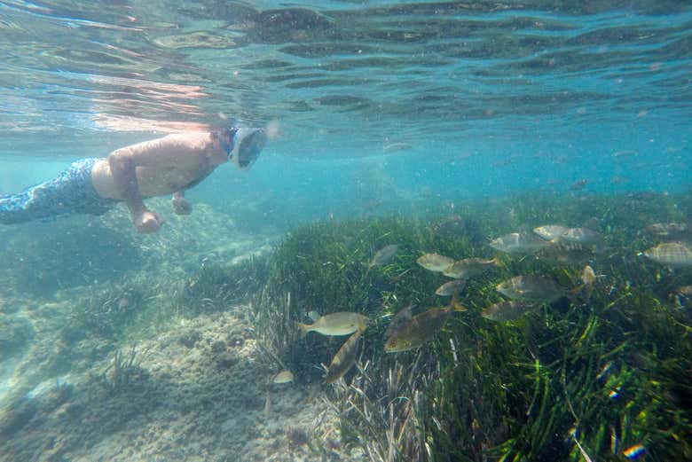 Faites du snorkeling