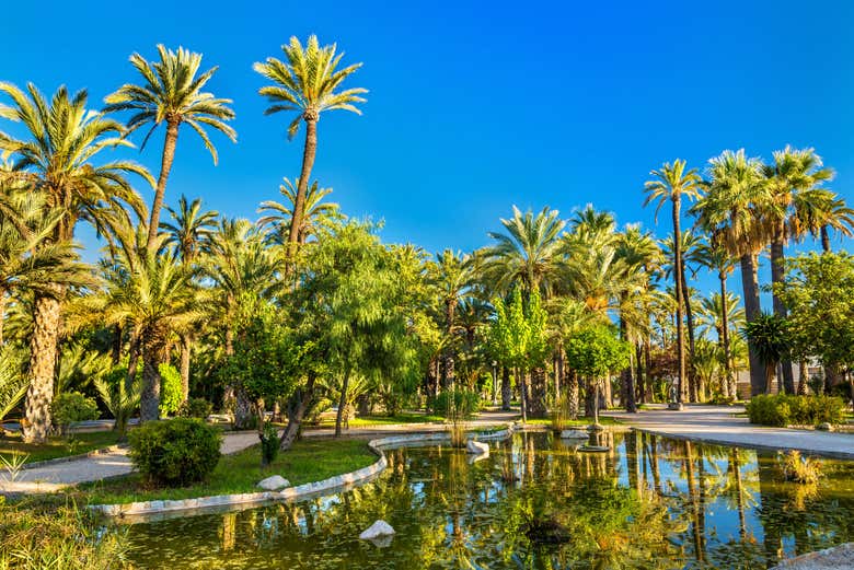 Palmeraie d'Elche