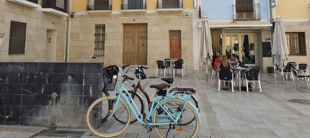 Tour en bicicleta por la Huerta de Alicante