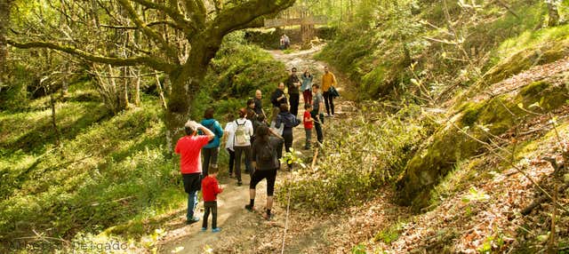 Randonnée à San Salvador dos Penedos