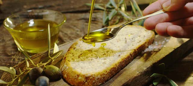 Cata de aceite de oliva en Almagro