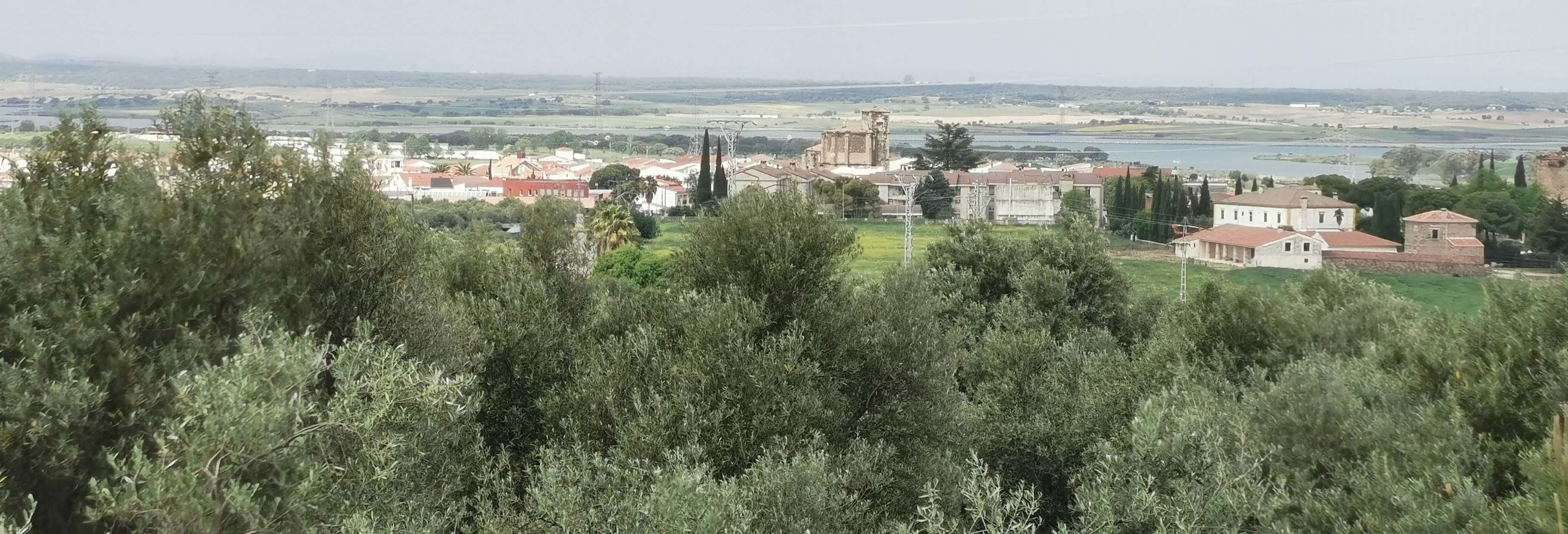 Almaraz 