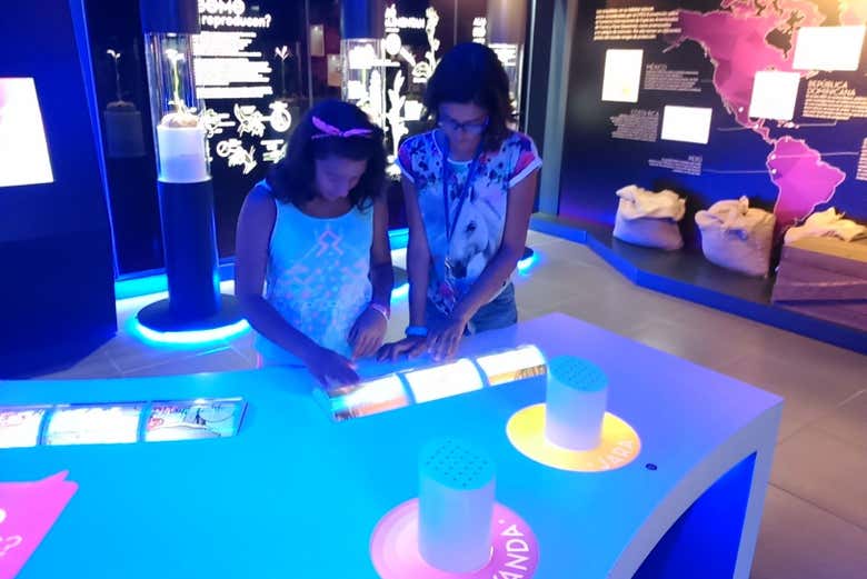 Descubriendo el museo