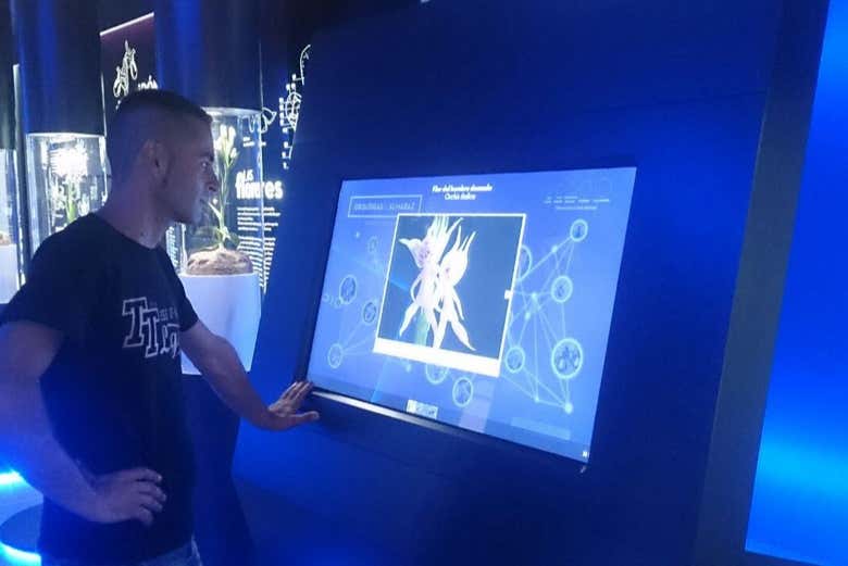 Recorriendo las salas de Orchydarium