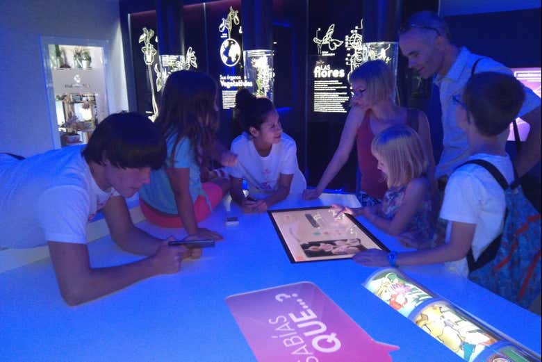 Visitando Orchydarium