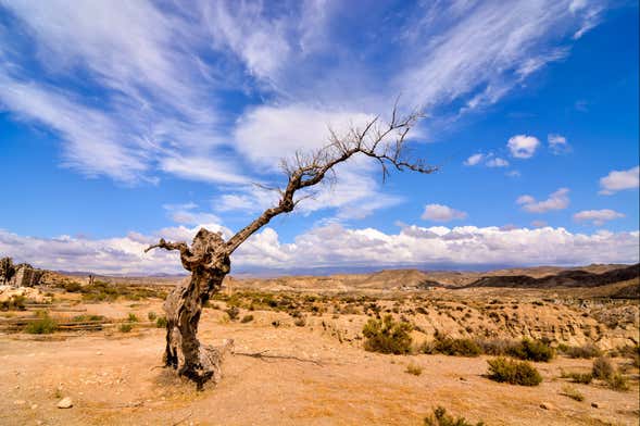 Escursione a Tabernas e a Fort Bravo