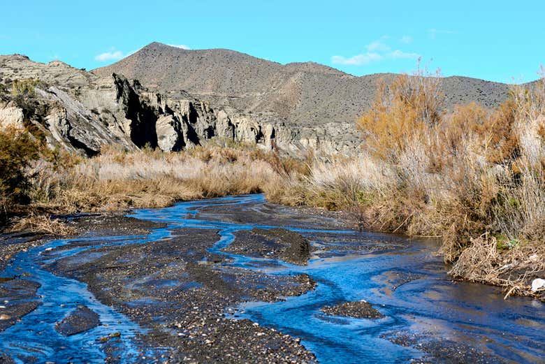 Tabernas Desert