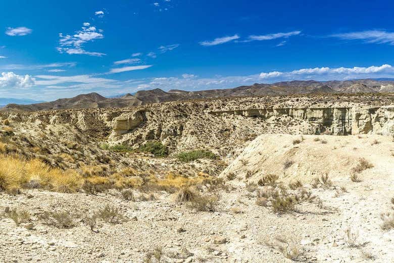 Exploring the desert