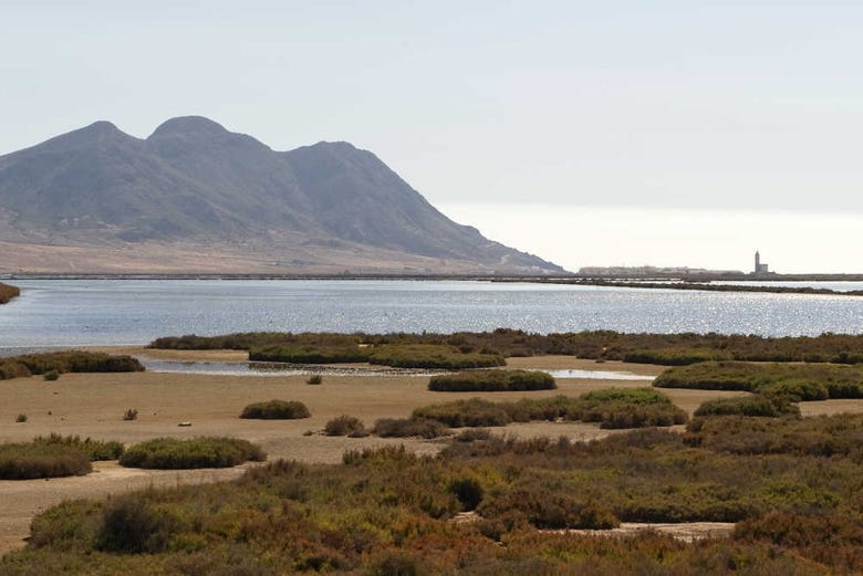 Zona de pântanos e salinas do Cabo de Gata