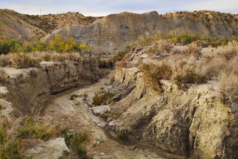 Enjoying a day trip to the Tabernas Desert