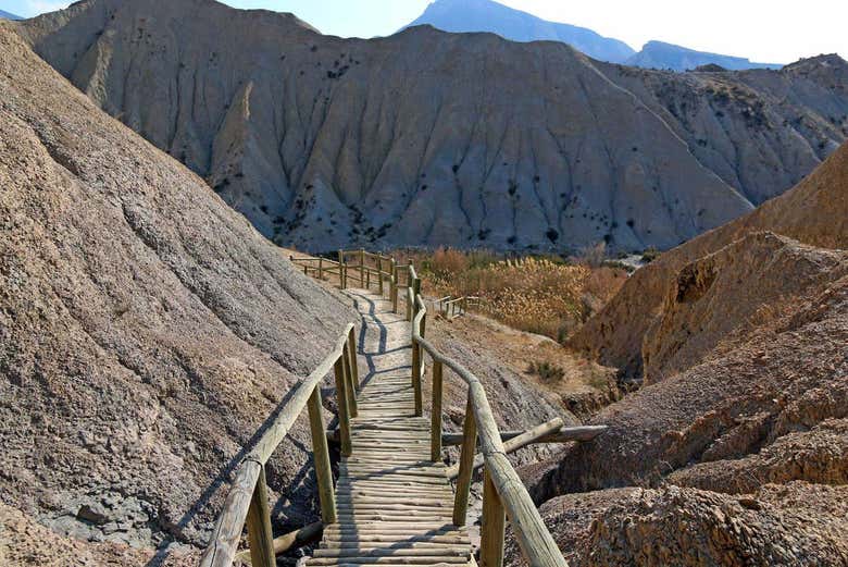 Hiking trails in the desert