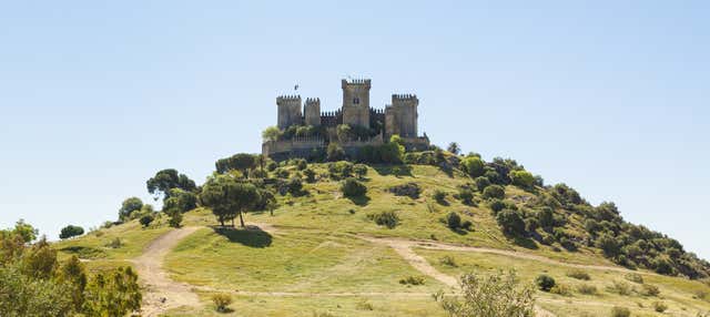 Tour teatralizado por el castillo de Almodóvar del Río