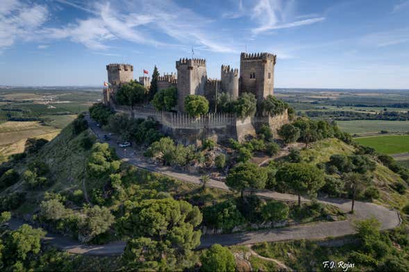 Visita guidata del castello di Almodóvar del Río