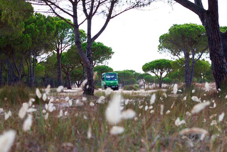 Parque Nacional de Doñana