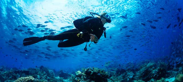 Curso de buceo PADI Open Water
