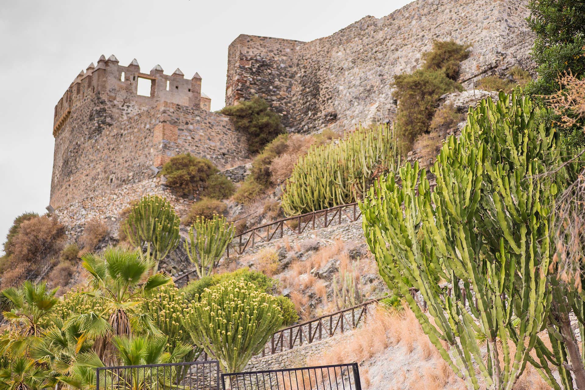 Tour privado por Almuñécar ¡Tú eliges!