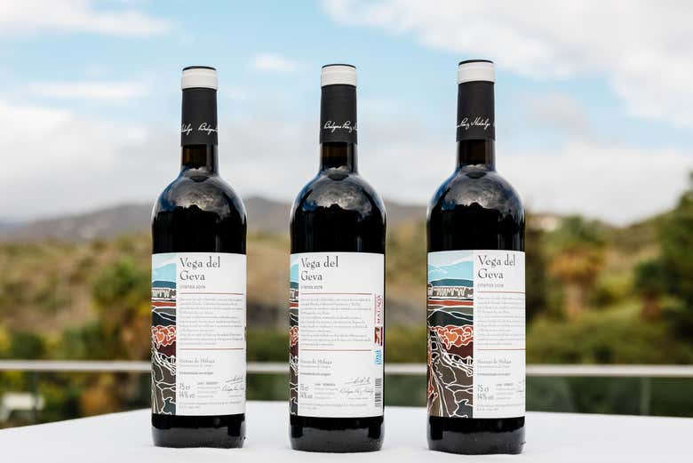 Disfrutando de la visita a las bodegas Pérez Hidalgo