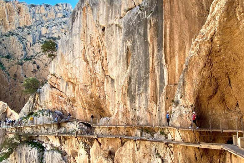 Pasarelas con vistas increíbles
