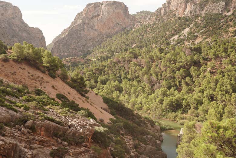 Look up and take in the sheer scale of the Los Gaitanes Gorge
