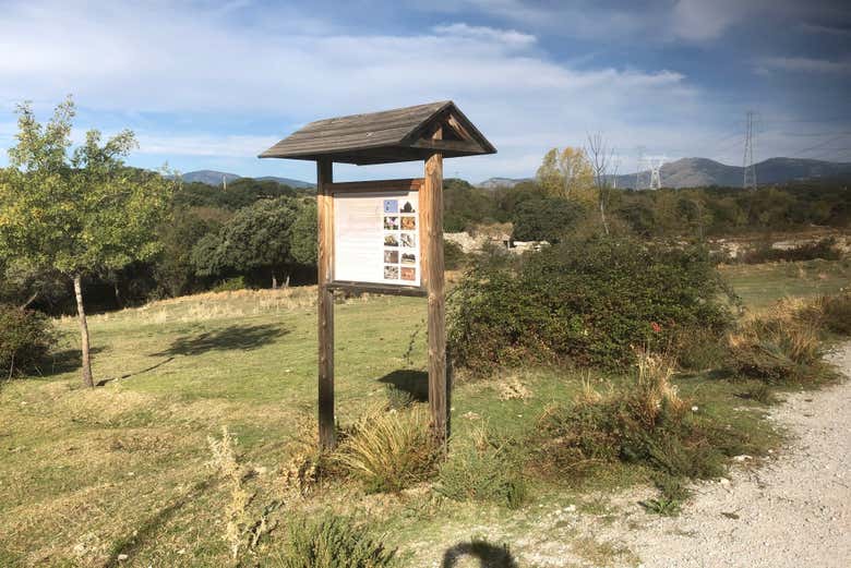 Trekking en la dehesa de Alpedrete