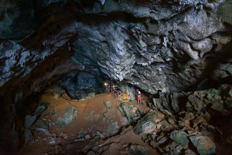 Learn about the cave