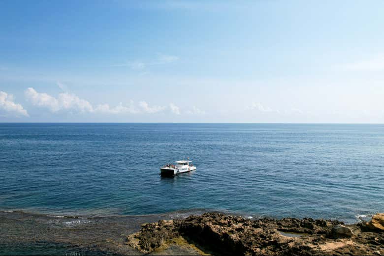 Navegaremos em um catamarã incrível!