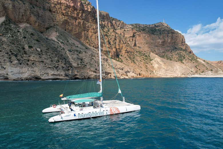 Spend a day of fun in the sun