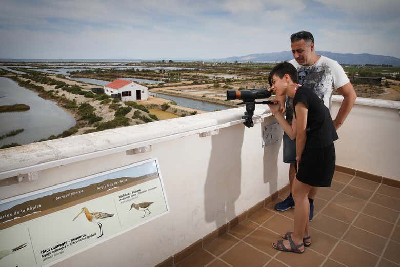 Visitando el mirador