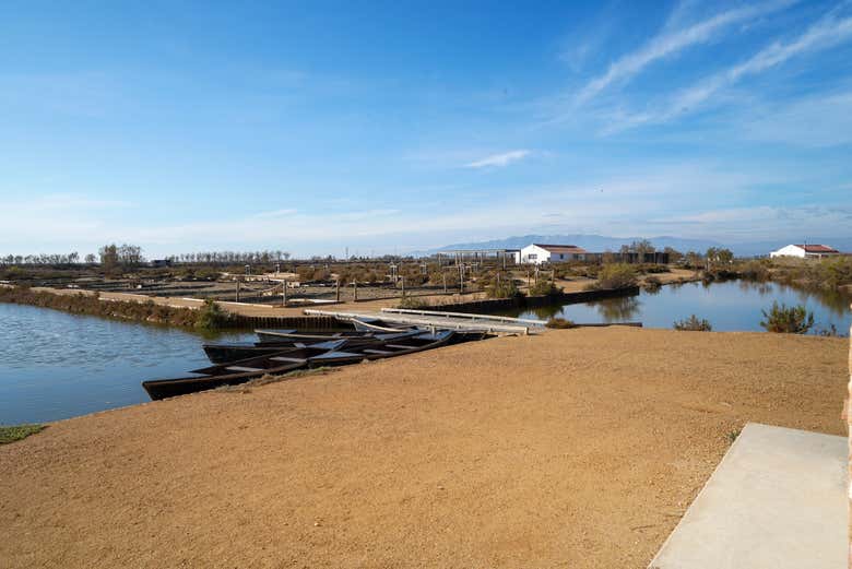 Paesaggi del fiume Ebro