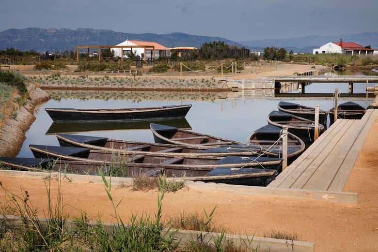 Barcas de perchar en MónNatura Delta de l'Ebre