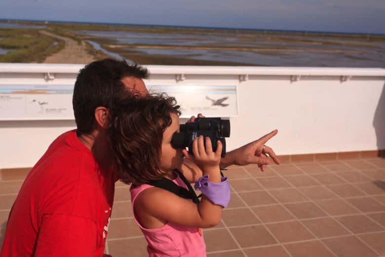 Visitando o Delta de l'Ebre