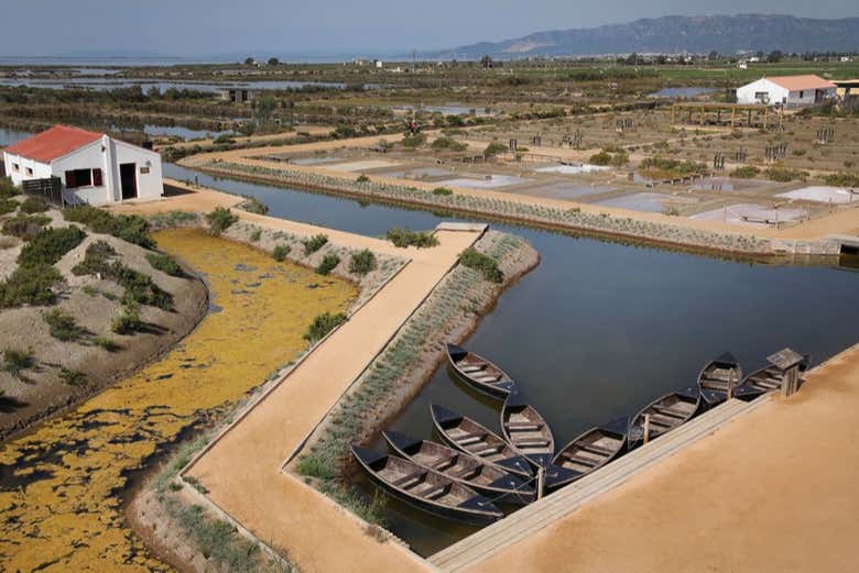 Vistas do Delta de l'Ebre