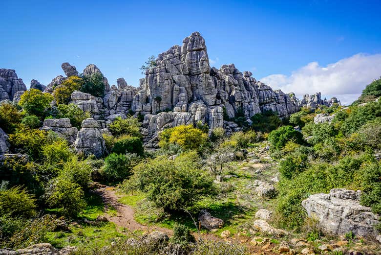 El Torcal de Antequera cubierto de vegetación