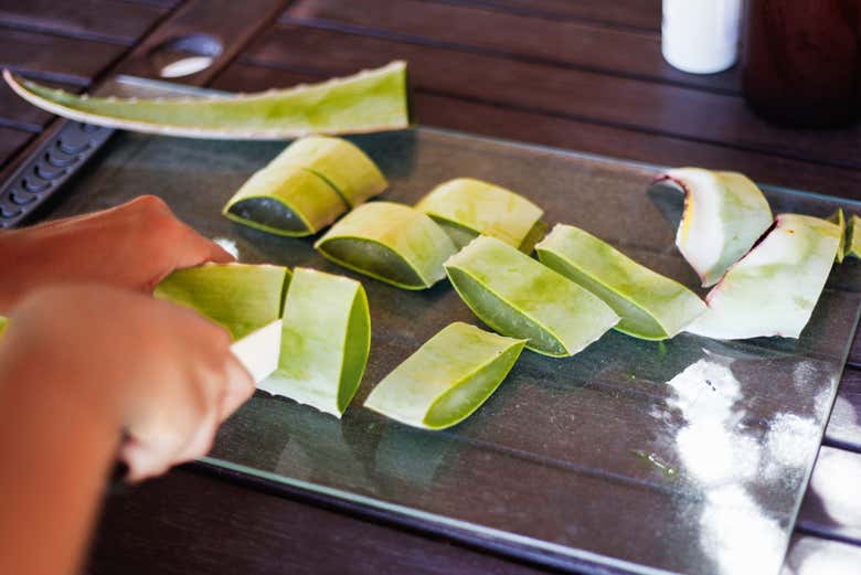 Coupe de l'aloe vera