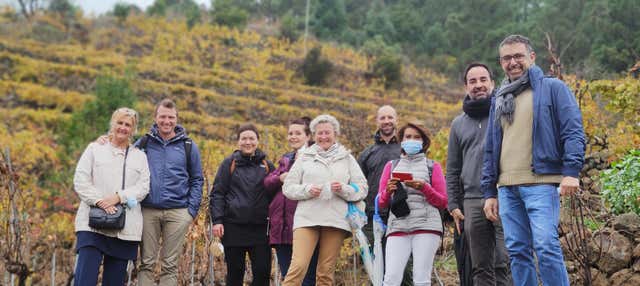 Visita a las Bodegas Ferrera
