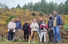 Ferrera Winery Guided Visit