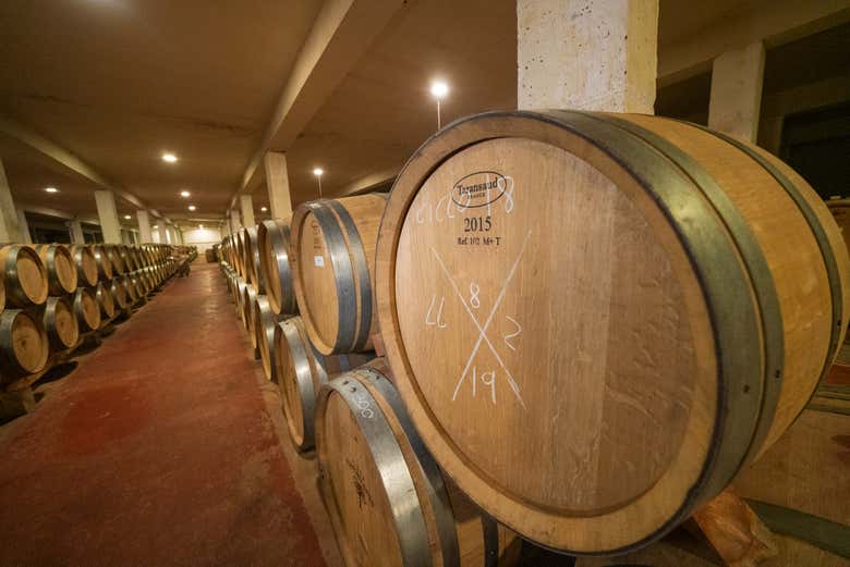 The barrel room