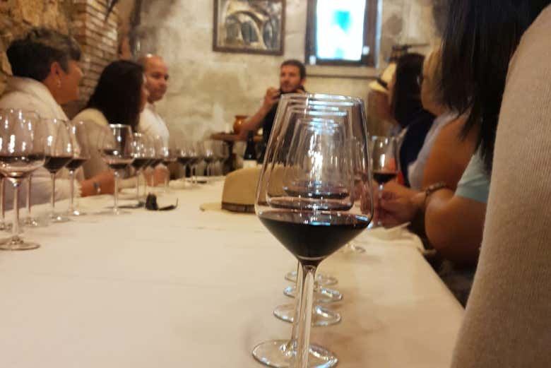 Degustação de vinhos na Bodega Histórica Don Carlos