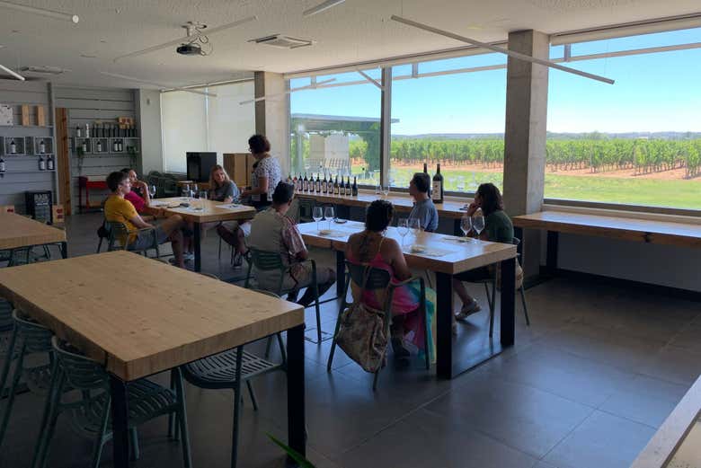 Dégustation de vins DO Ribera del Duero